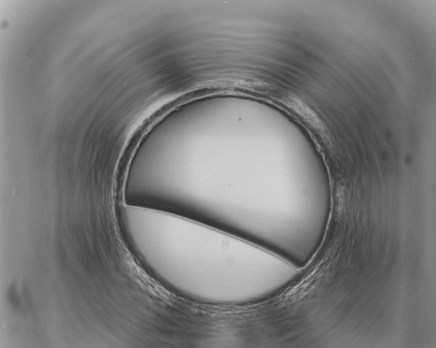 X0000086901020200704231148