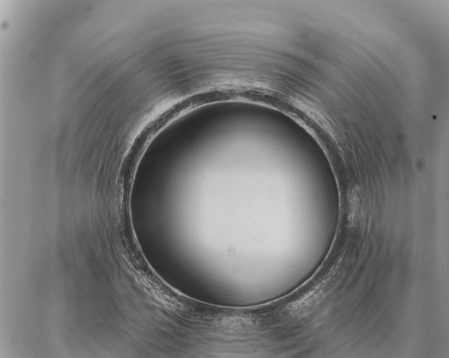 X0000086901021200704231148