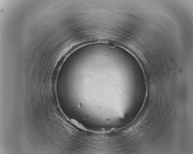 X0000086901023200704231148