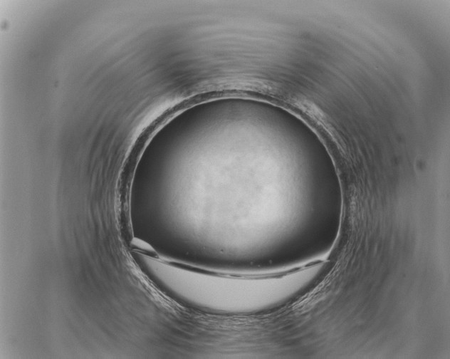 X0000086901024200704231148