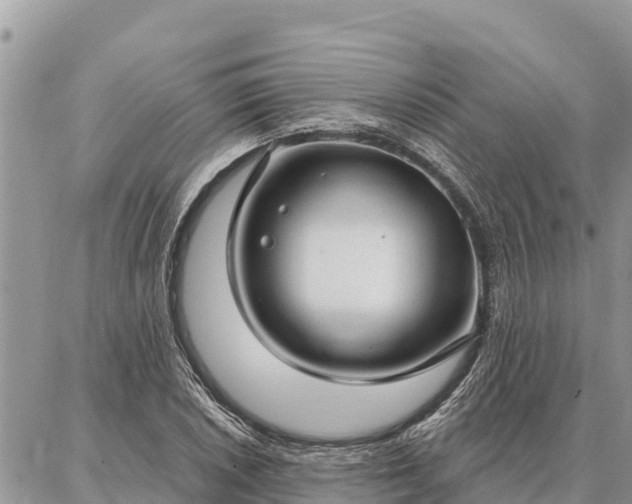 X0000086901026200704231148