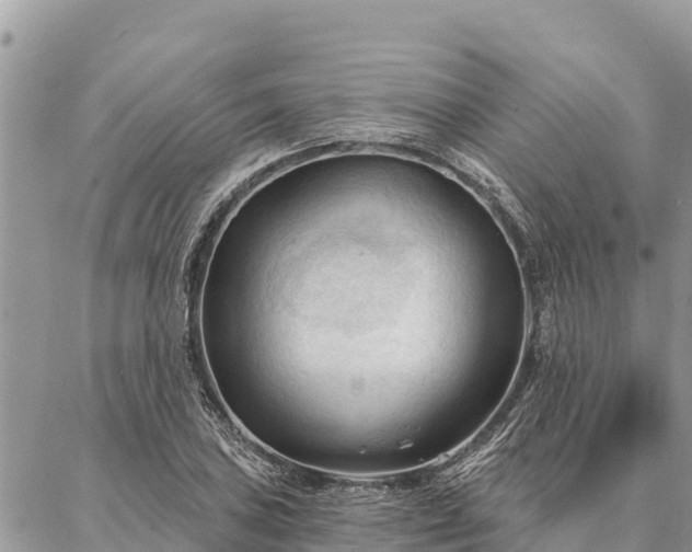 X0000086901027200704231148