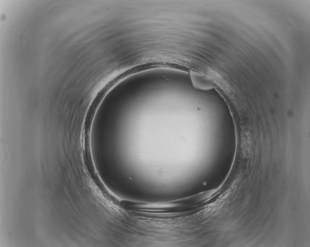 X0000086901028200704231148