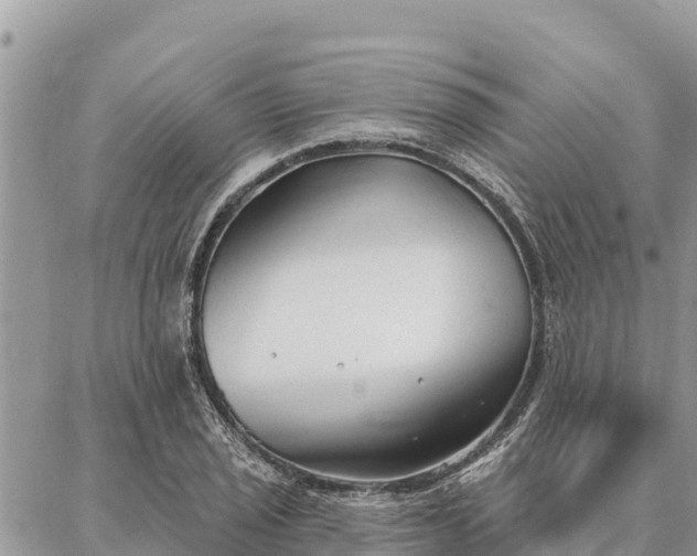 X0000086901029200704231148