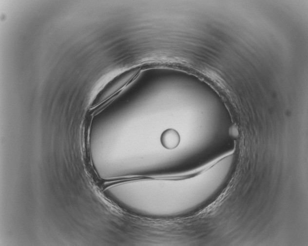 X0000086901030200704231148