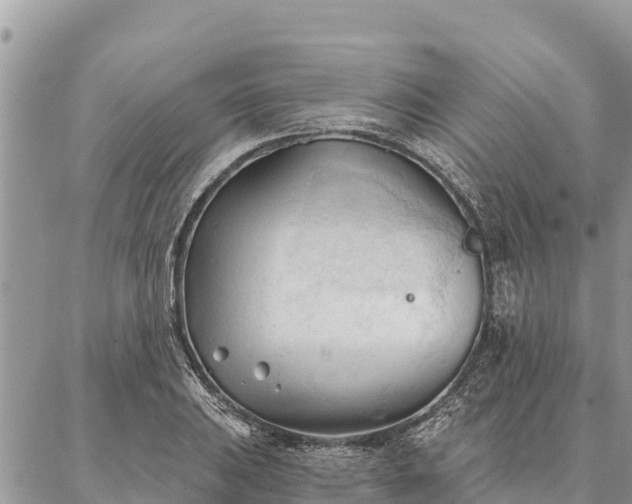 X0000086901031200704231148