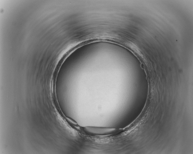 X0000086901032200704231148