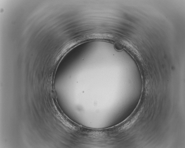 X0000086901033200704231148