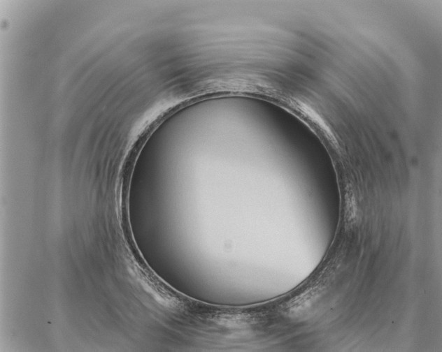 X0000086901035200704231148