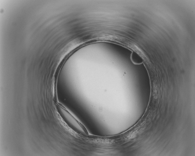 X0000086901036200704231148