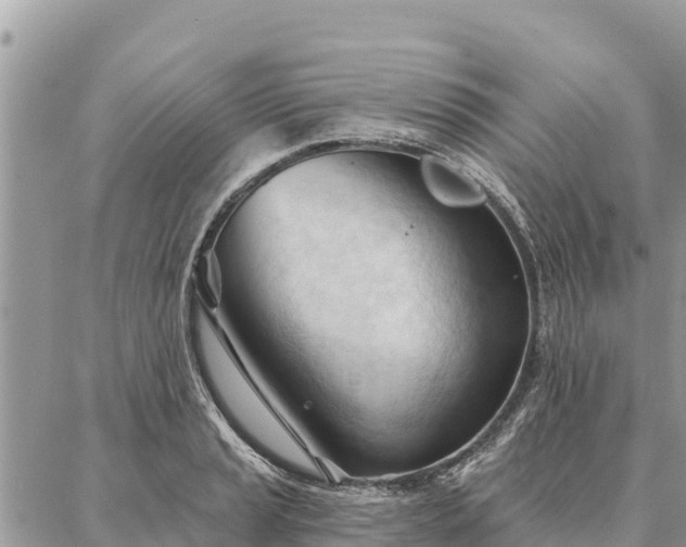 X0000086901037200704231148