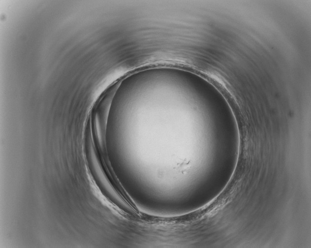 X0000086901038200704231148