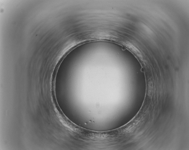 X0000086901039200704231148