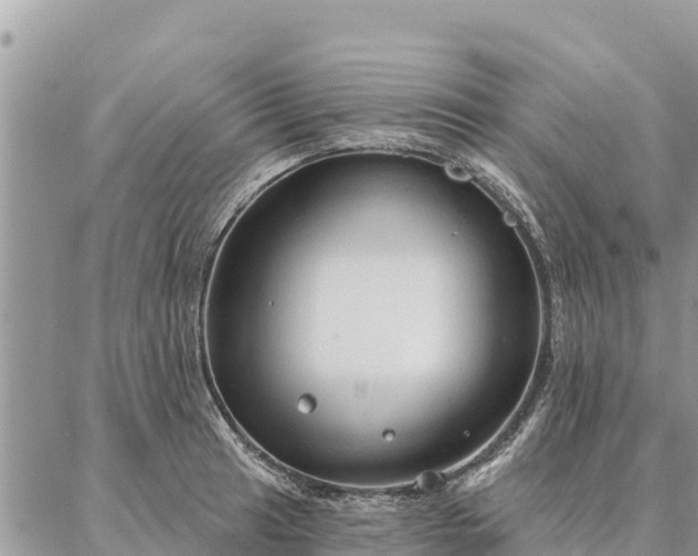 X0000086901041200704231148