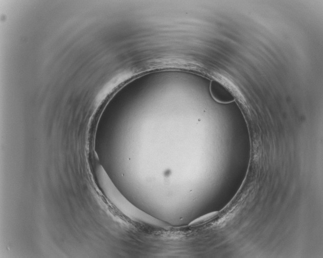 X0000086901043200704231148