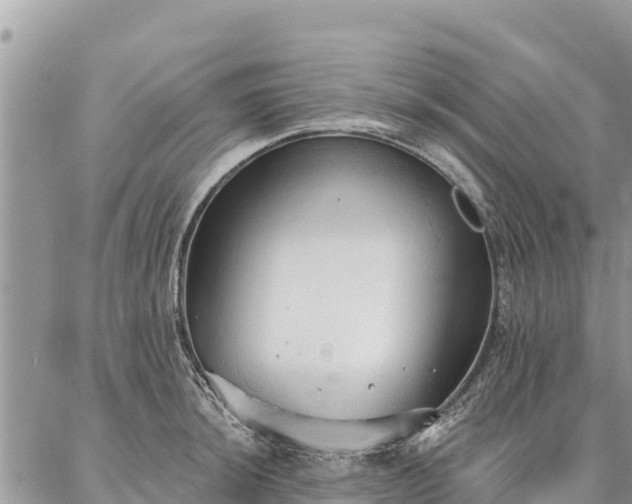 X0000086901044200704231148