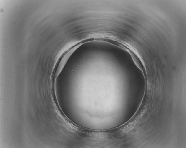 X0000086901045200704231148