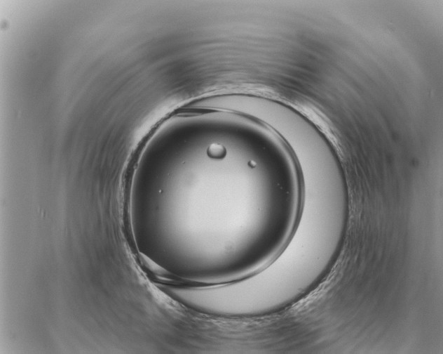 X0000086901046200704231148