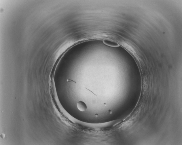 X0000086901047200704231148