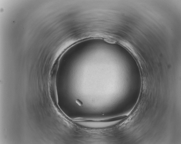 X0000086901048200704231148