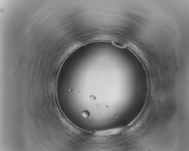 X0000086901049200704231148