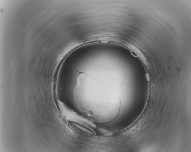 X0000086901051200704231148