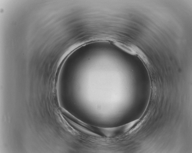 X0000086901052200704231148