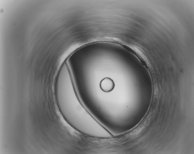 X0000086901054200704231148