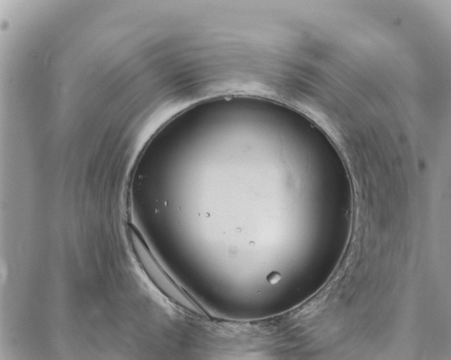 X0000086901056200704231148