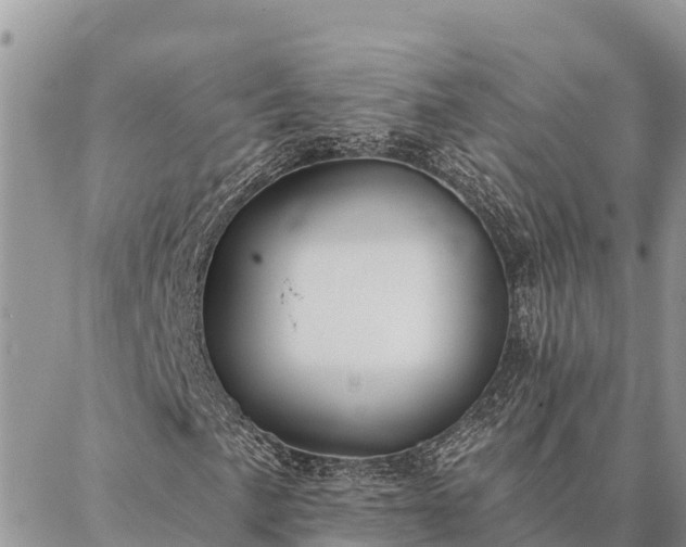 X0000086901057200704231147