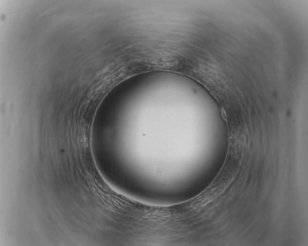 X0000086901058200704231147