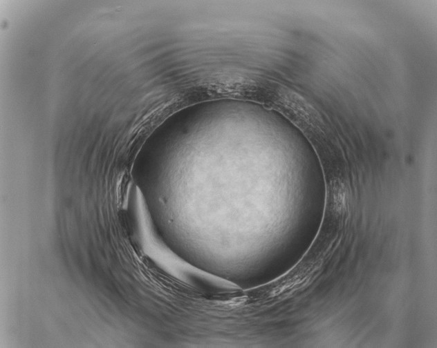 X0000086901060200704231147