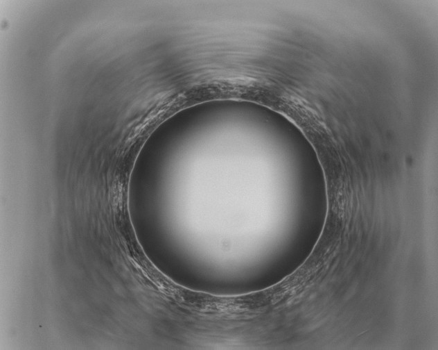 X0000086901061200704231147