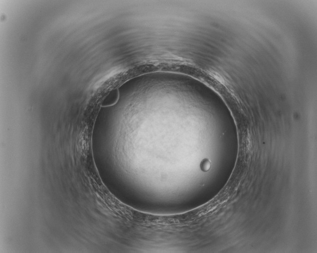 X0000086901063200704231147