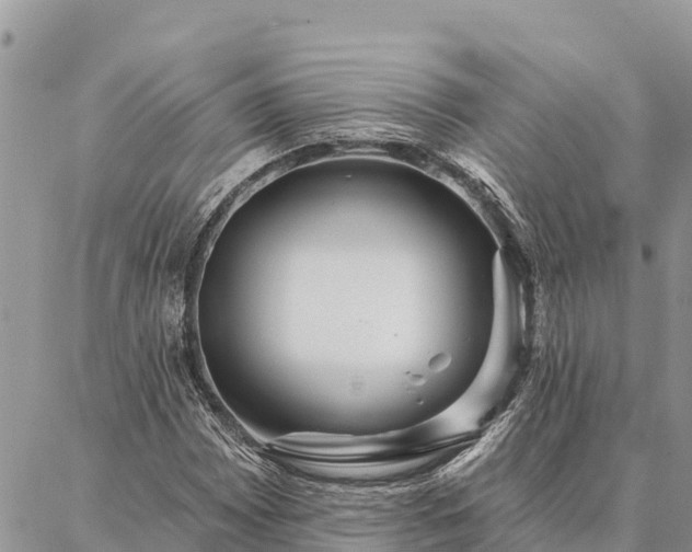 X0000086901065200704231147