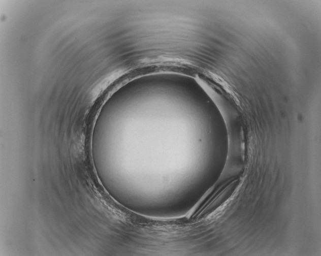 X0000086901066200704231147