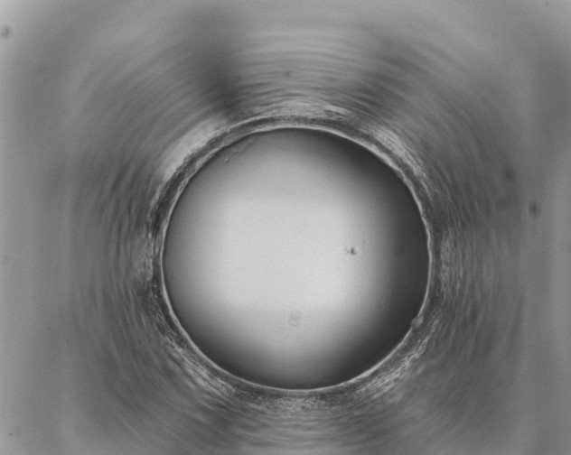 X0000086901067200704231147