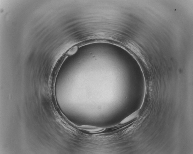 X0000086901068200704231147