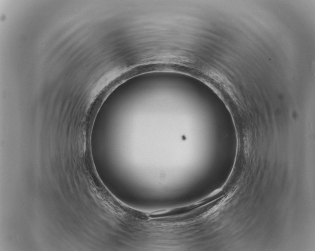 X0000086901069200704231147