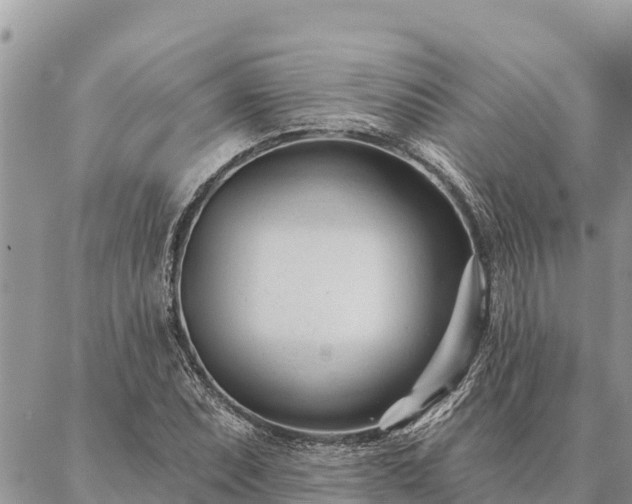 X0000086901071200704231147