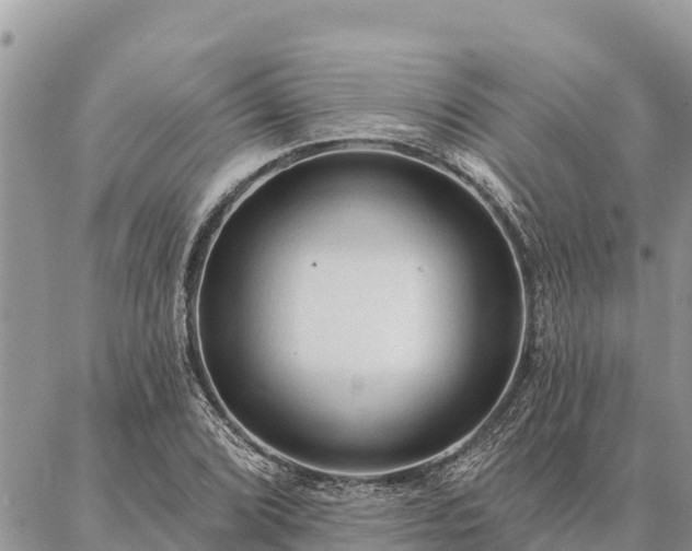 X0000086901072200704231147