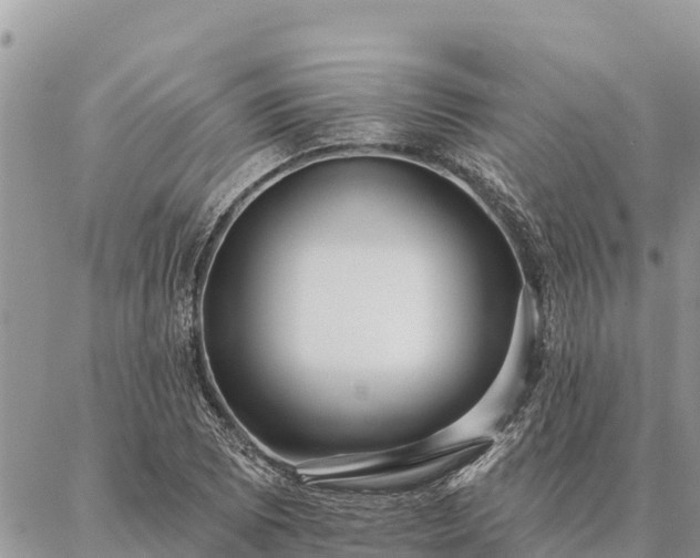 X0000086901073200704231147