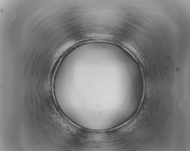 X0000086901074200704231147