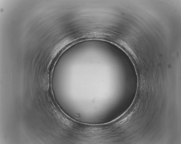 X0000086901075200704231147