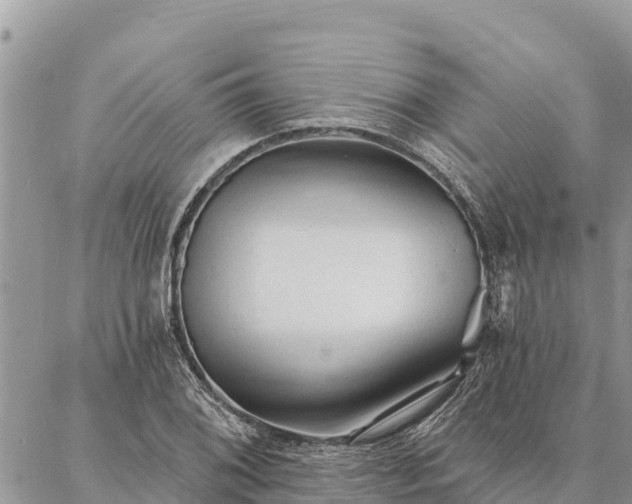 X0000086901076200704231147