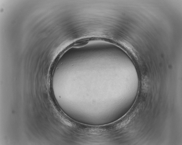 X0000086901077200704231147