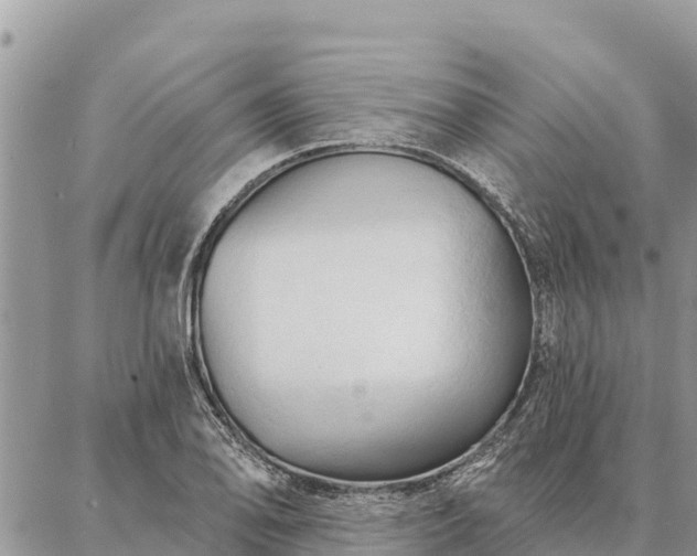 X0000086901078200704231147