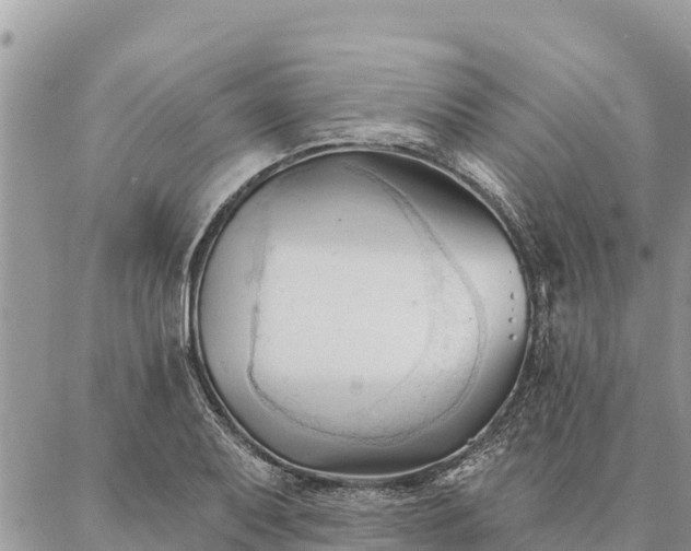 X0000086901079200704231147