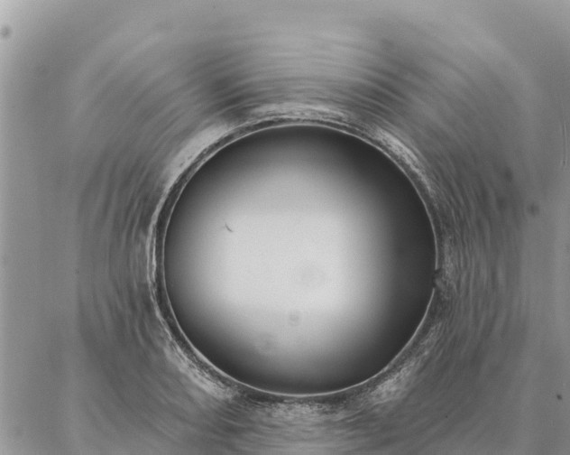 X0000086901082200704231147