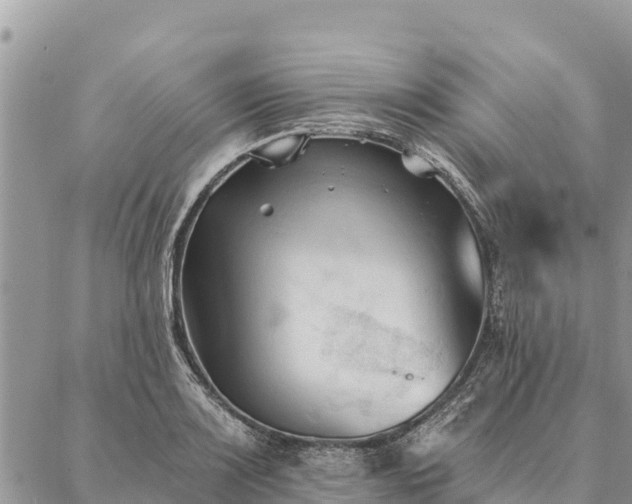 X0000086901083200704231147